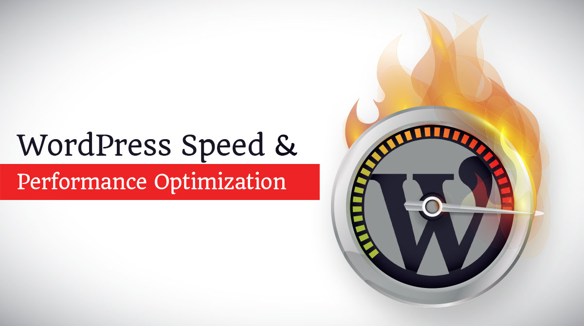 WordPress Speed & Performance Optimization